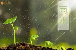雨水节气应该吃什么！这五种食物一定要吃
