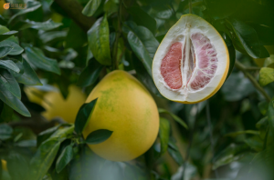 微信图片_20171122141422